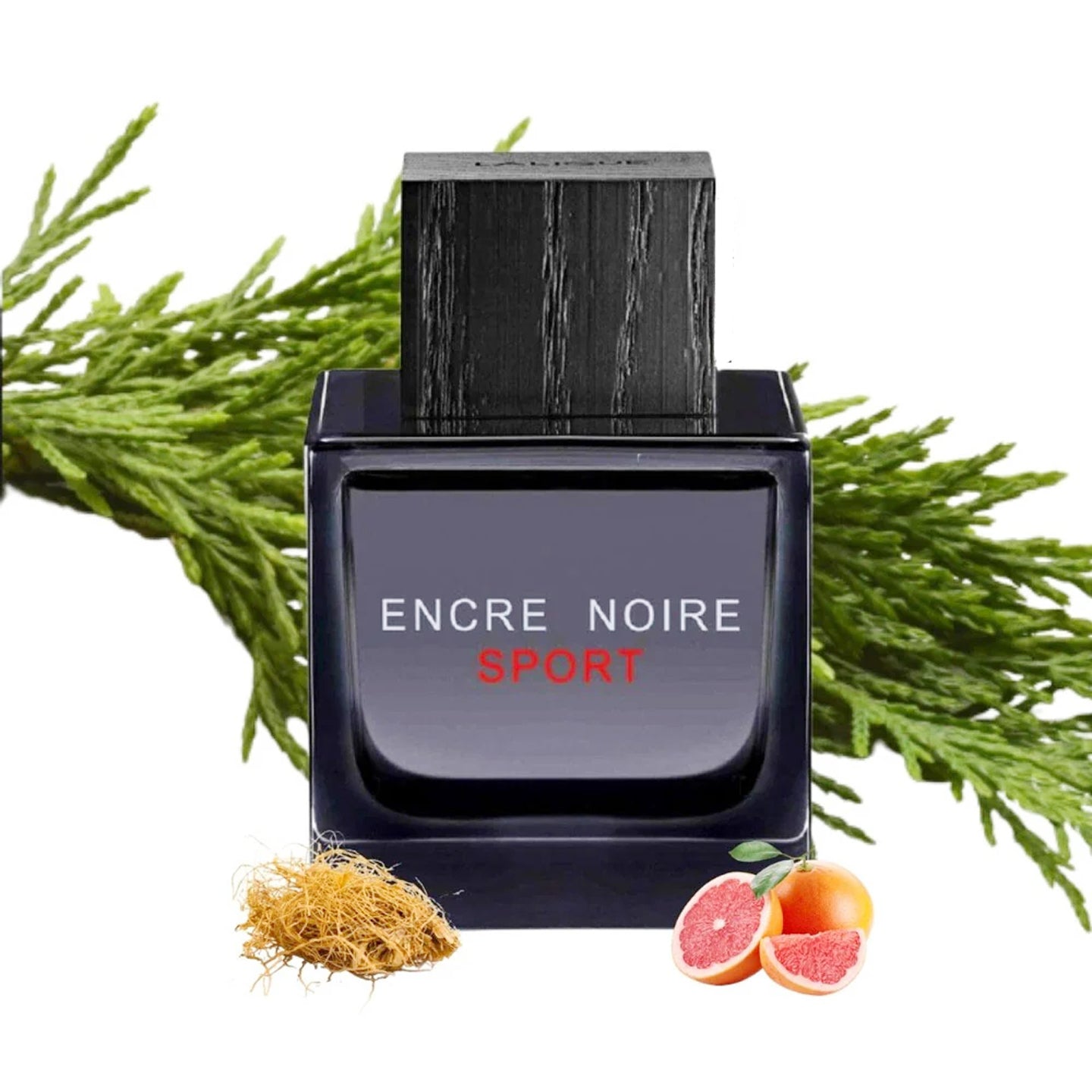 Lalique Encre Noire Sport 